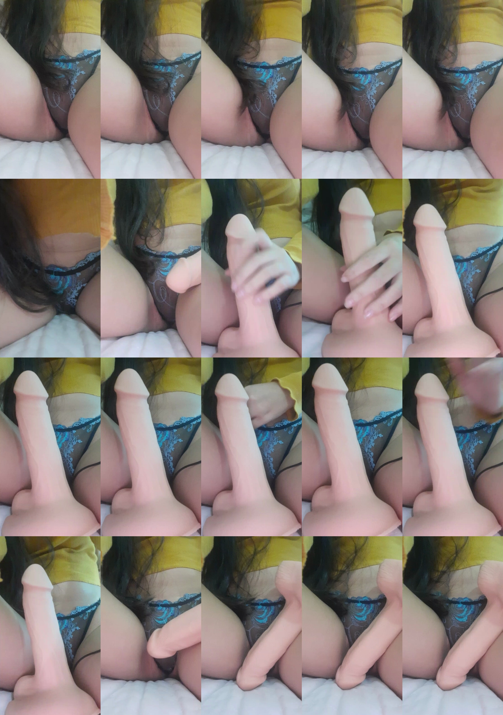 gatinha_imola8 04-08-2022 Download 