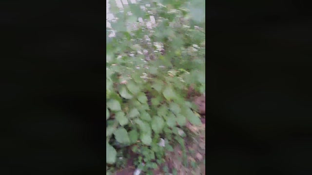 SlutboyBen  06-08-2022 Recorded Video lovense