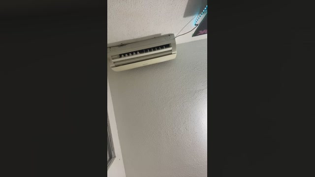 gabylorenzo 06-08-2022 suckcock 