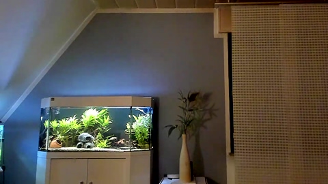 ronhill13  06-08-2022 Recorded Video juicy