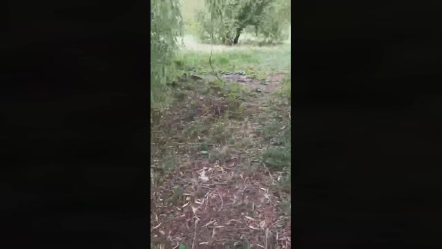 taras69  06-08-2022 Recorded Video Show