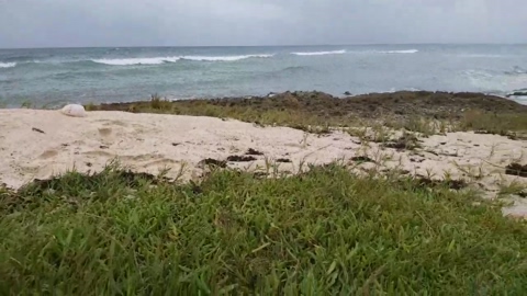 Desirdesiles 07-08-2022 beautiful Females - HotWebcams