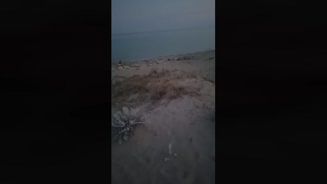 Feffo2  06-08-2022 Recorded Video ass