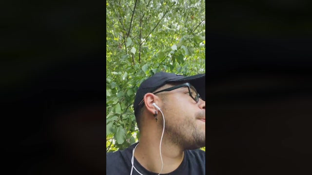 Mirko035  07-08-2022 Recorded Video big