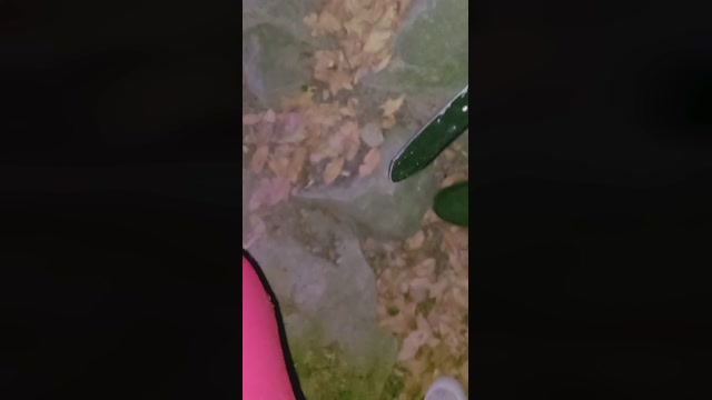 gros_seins_ 07-08-2022 Recorded 