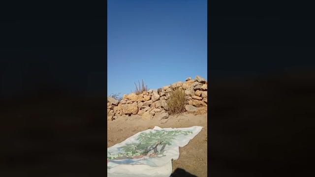 nudista22  07-08-2022 Recorded Video Recorded