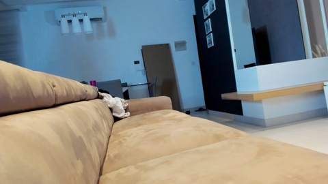 Cassy_cum 08-08-2022 Video 