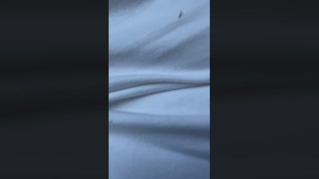 Cheeeky69  08-08-2022 Recorded Video Topless