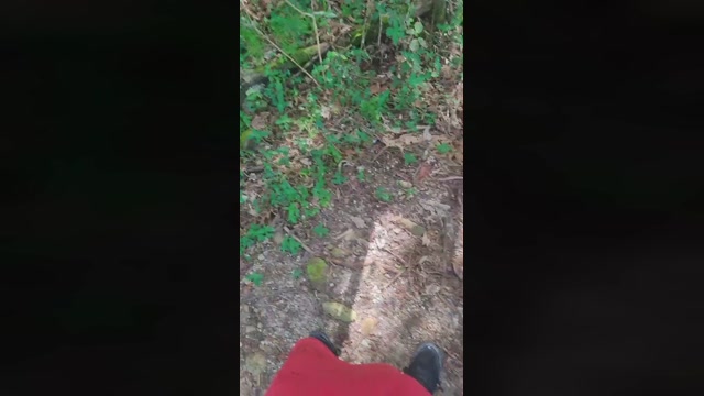 Paris_youngpp  07-08-2022 Recorded Video beautiful
