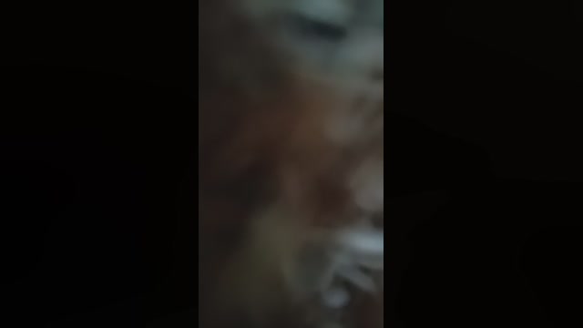Feffo2  08-08-2022 Recorded Video hot