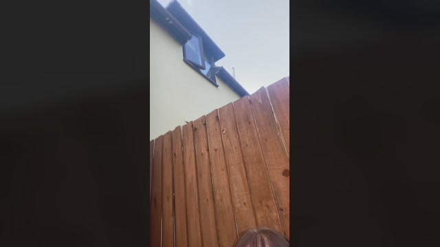 Hotbabe2019 08-08-2022 blowjob 
