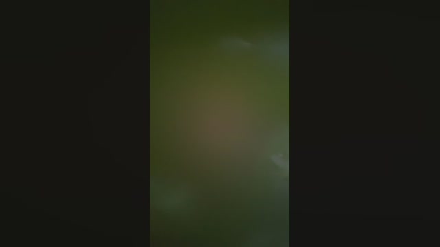 Liarlaparda  09-08-2022 Recorded Video horny