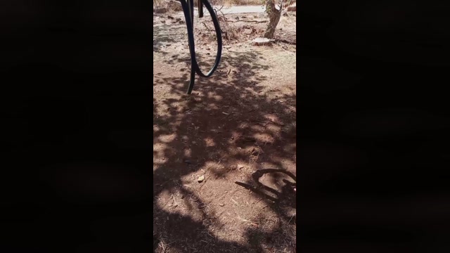 kinkis_amos  08-08-2022 Recorded Video fuckme