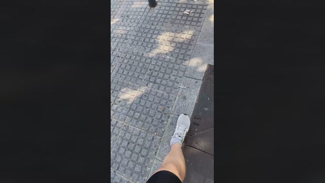 Liarlaparda  10-08-2022 Recorded Video lovense