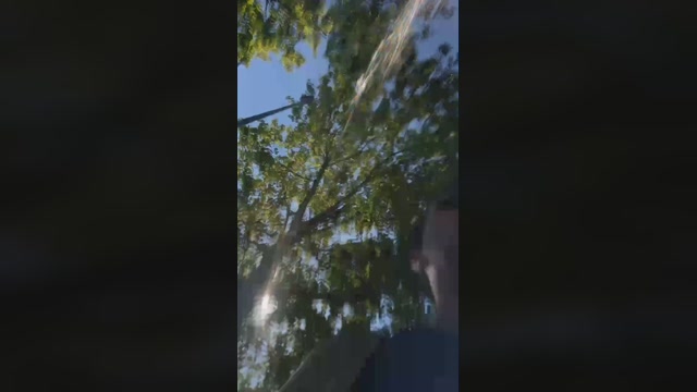 Liarlaparda  10-08-2022 Recorded Video bigtoys