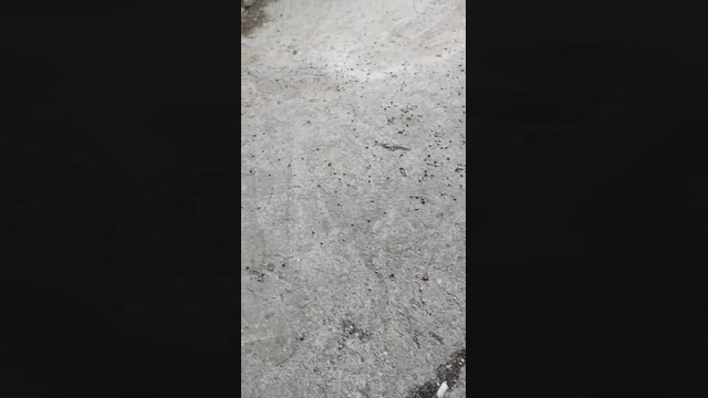 Mirko035  10-08-2022 Recorded Video orgasm
