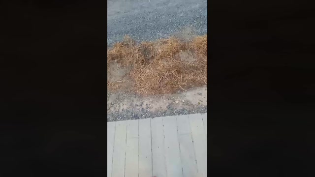 Public___  10-08-2022 Recorded Video love