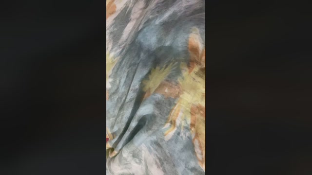 gabylorenzo 11-08-2022 Show 