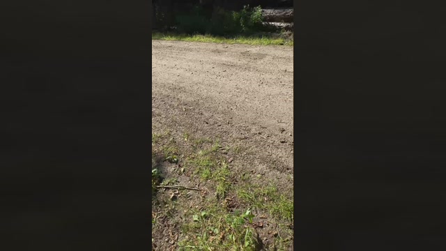geilerjung69  11-08-2022 Recorded Video gay