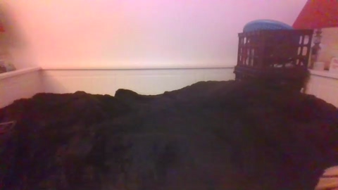 malebdsmslut  10-08-2022 video amateur