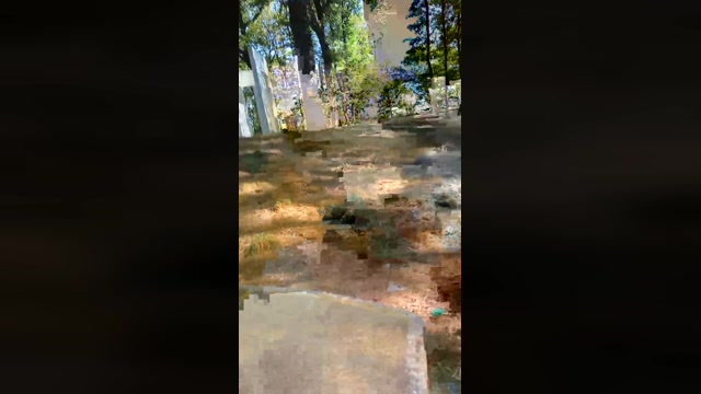 Public___  11-08-2022 Recorded Video jerkoff