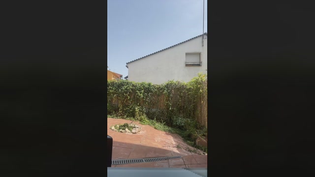 Diversing  13-08-2022 Recorded Video cute