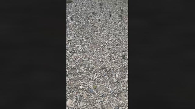 amateurcouple89  13-08-2022 Recorded Video fuckhard