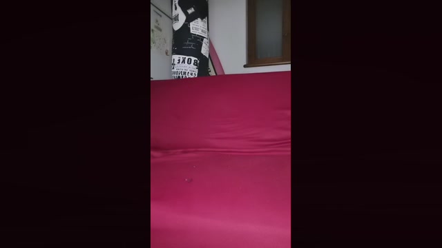 Bjorn_Ego  13-08-2022 Recorded Video toys