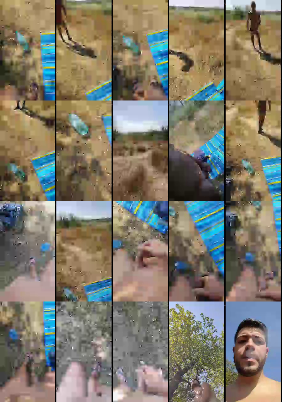 Mirko035  14-08-2022 Recorded Video bigload