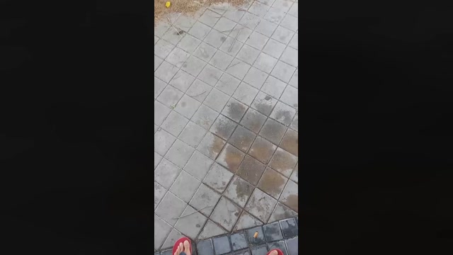 Public___  15-08-2022 Recorded Video lush