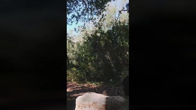 Red887  15-08-2022 Recorded Video skinny