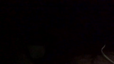 mountainman420jah  15-08-2022 video big