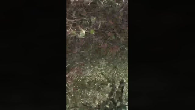 Gastea1  16-08-2022 Recorded Video XXX
