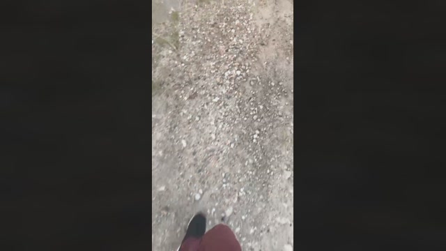 NovinDot21  15-08-2022 Recorded Video toy