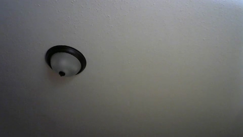 daughtrcorruptor  16-08-2022 video sweet