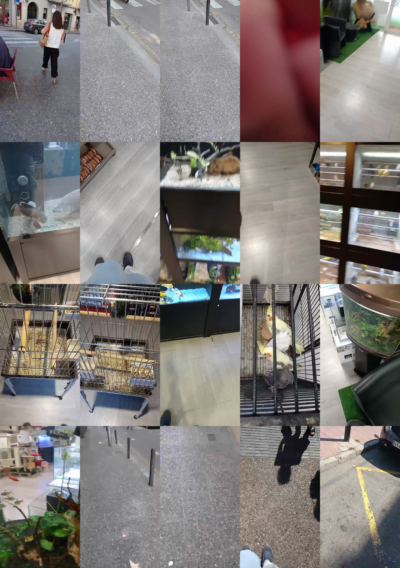 edgar3014  16-08-2022 Recorded Video strip