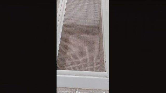 1DVD1  17-08-2022 Recorded Video moan