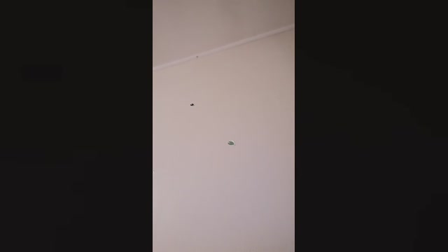 Danihumito_ 17-08-2022 fuckher 