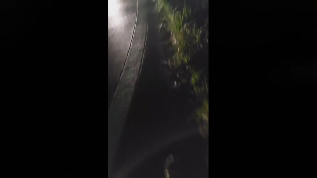 TS_lycoris  16-08-2022 Recorded Video yummy