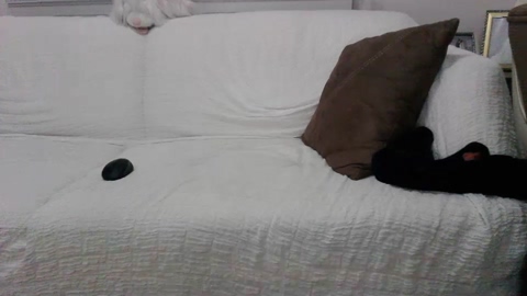 kasket45  16-08-2022 Recorded Video jerkoff