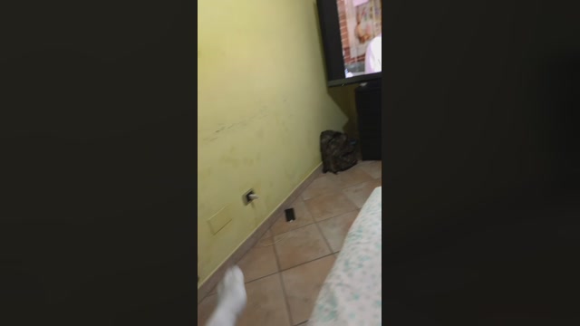 lossim3  17-08-2022 Recorded Video kissing