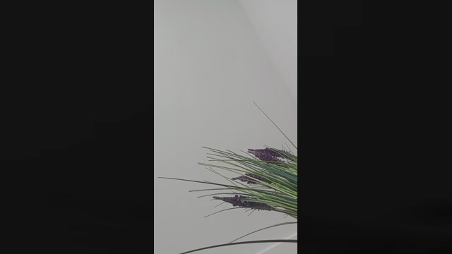 riccardoyeah  17-08-2022 Recorded Video squirt