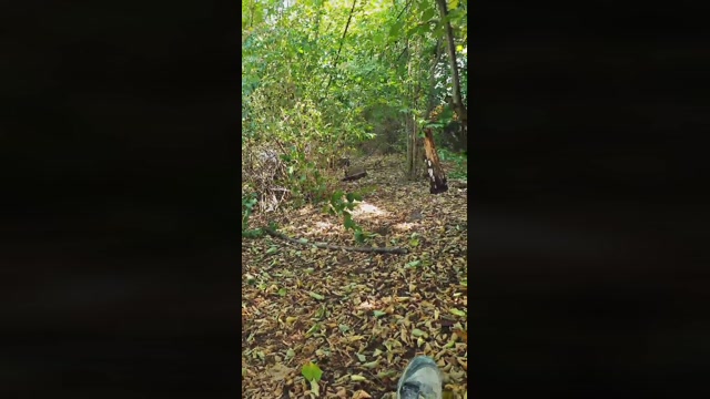 Loverber  18-08-2022 Recorded Video blowjob
