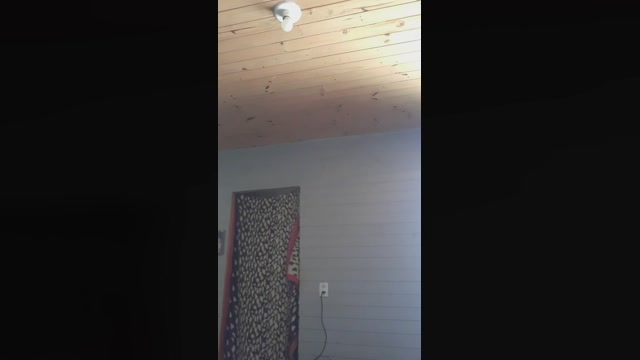 NutriOliver  17-08-2022 Recorded Video squirt