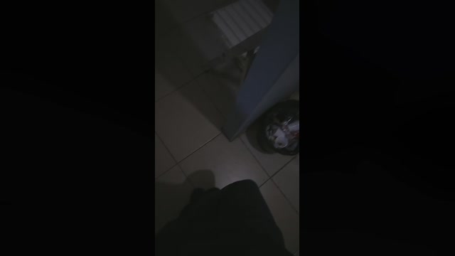 verrgoon  18-08-2022 Recorded Video jerking