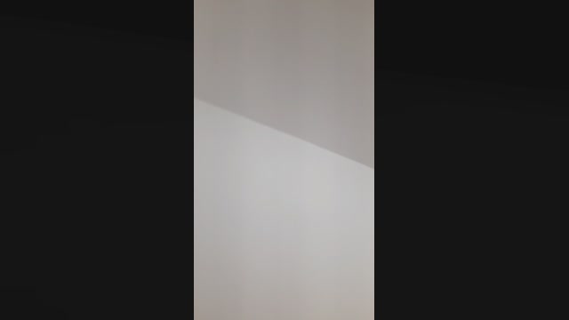 Dimicandy 19-08-2022 bj-dildo 