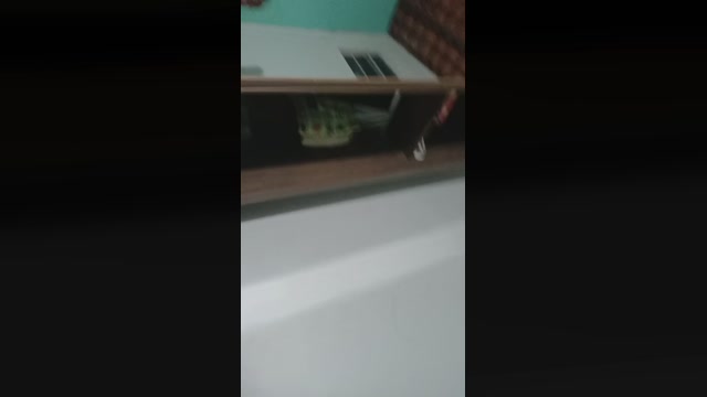 Thalysssonsouza  19-08-2022 Recorded Video Cam