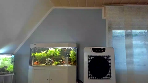 ronhill13  18-08-2022 Recorded Video spanking