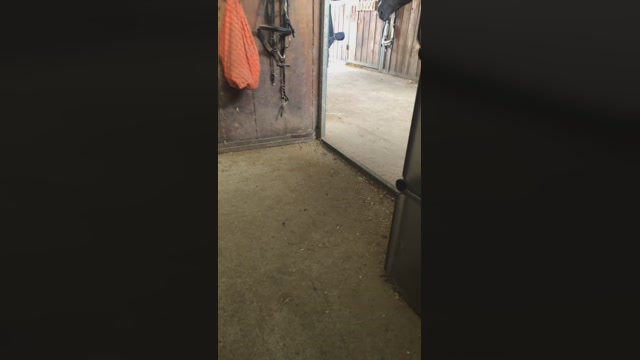 twin57  19-08-2022 Recorded Video beautiful