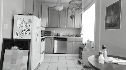 neon_felix 19-08-2022 analtoy 
